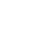 LOB System Integration